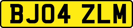 BJ04ZLM