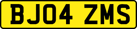 BJ04ZMS