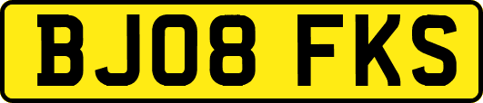 BJ08FKS
