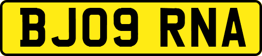 BJ09RNA