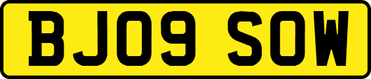 BJ09SOW
