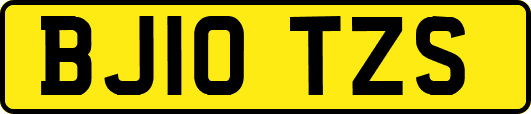 BJ10TZS