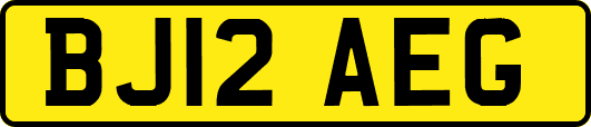 BJ12AEG