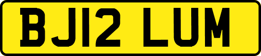 BJ12LUM
