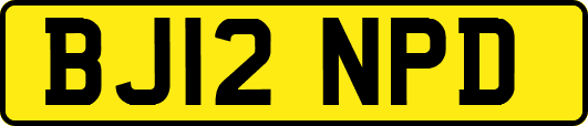 BJ12NPD