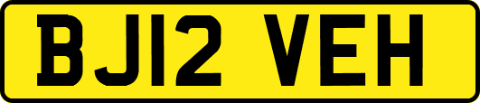 BJ12VEH