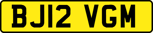 BJ12VGM
