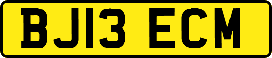BJ13ECM