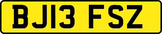 BJ13FSZ