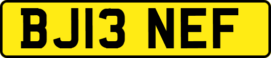 BJ13NEF