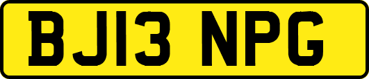 BJ13NPG