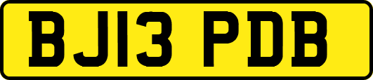 BJ13PDB