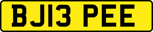 BJ13PEE