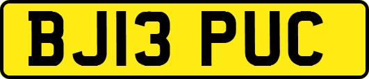 BJ13PUC