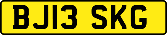 BJ13SKG