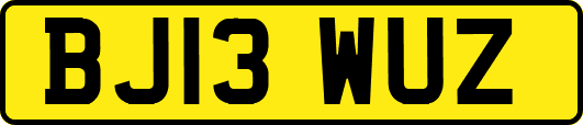 BJ13WUZ