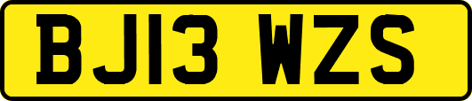 BJ13WZS