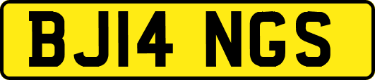 BJ14NGS