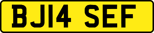 BJ14SEF