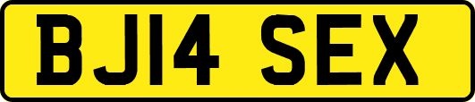 BJ14SEX