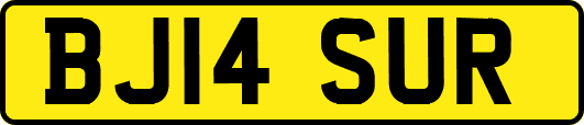 BJ14SUR