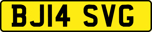 BJ14SVG