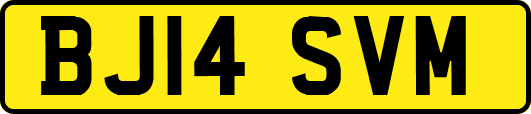 BJ14SVM