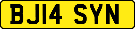 BJ14SYN