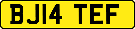 BJ14TEF