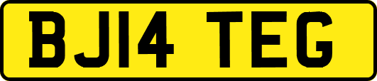 BJ14TEG