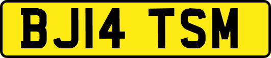 BJ14TSM