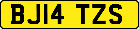 BJ14TZS