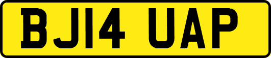 BJ14UAP
