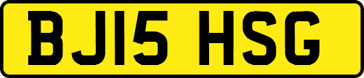 BJ15HSG