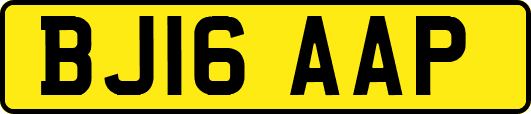BJ16AAP