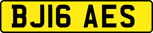 BJ16AES
