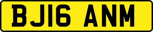 BJ16ANM