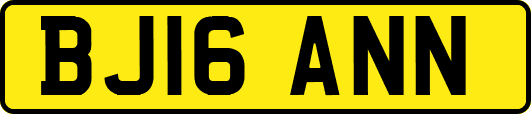 BJ16ANN