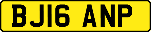 BJ16ANP