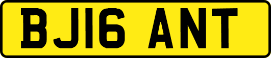 BJ16ANT