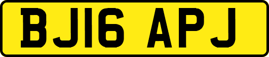 BJ16APJ