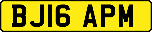 BJ16APM