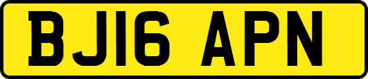 BJ16APN