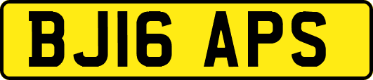 BJ16APS