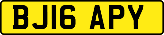 BJ16APY