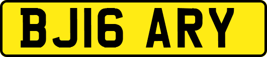 BJ16ARY