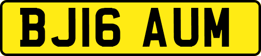 BJ16AUM