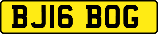 BJ16BOG