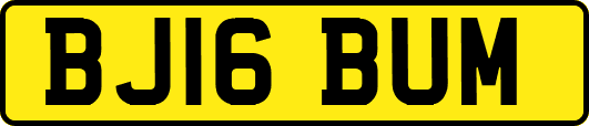 BJ16BUM