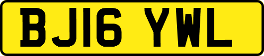 BJ16YWL